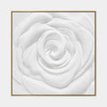 Pintura al óleo floral/botánica y natural de yeso y textura con formas botánicas, flores o elementos naturales en una composición pictórica en una paleta de blanco y negro.