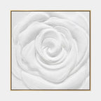 Plaster & Texture floral/botanicals & nature oil painting showing botanical forms, flowers or trees arranged in a calm painterly composition.