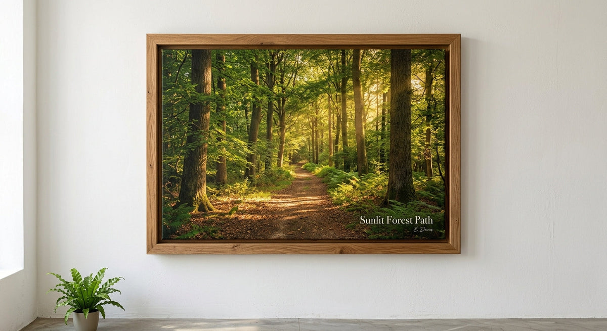 Sunlit Forest Path
